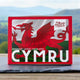 CYMRU - Box of 6 Chocolates (case of 12)