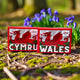 CYMRU/WALES - Box of 6 Chocolates (case of 6 CYMRU + 6 WALES)